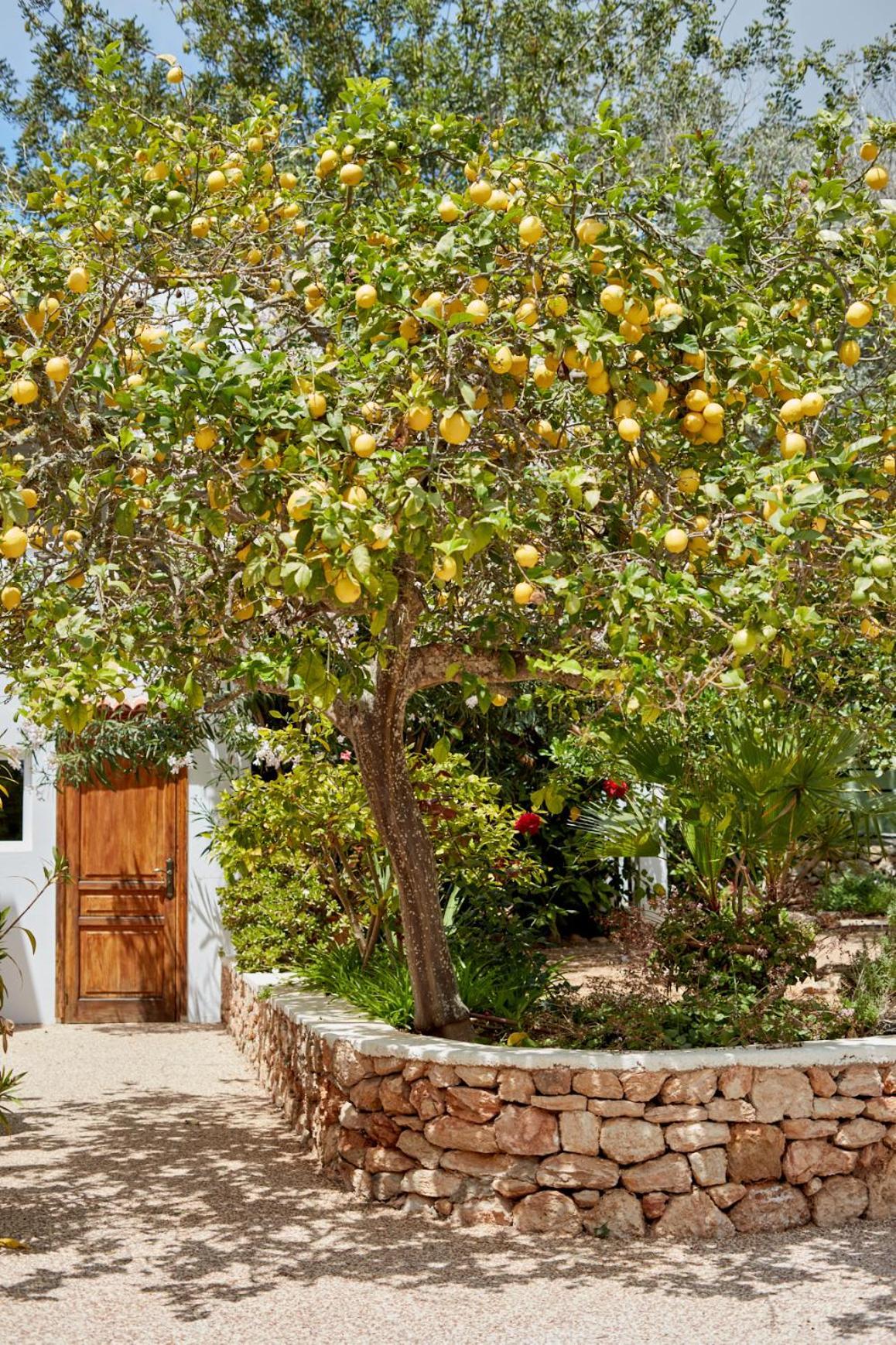 סן ז'ואן דה לבריג'ה Valley Club Ibiza - Boutique Agroturismo מראה חיצוני תמונה