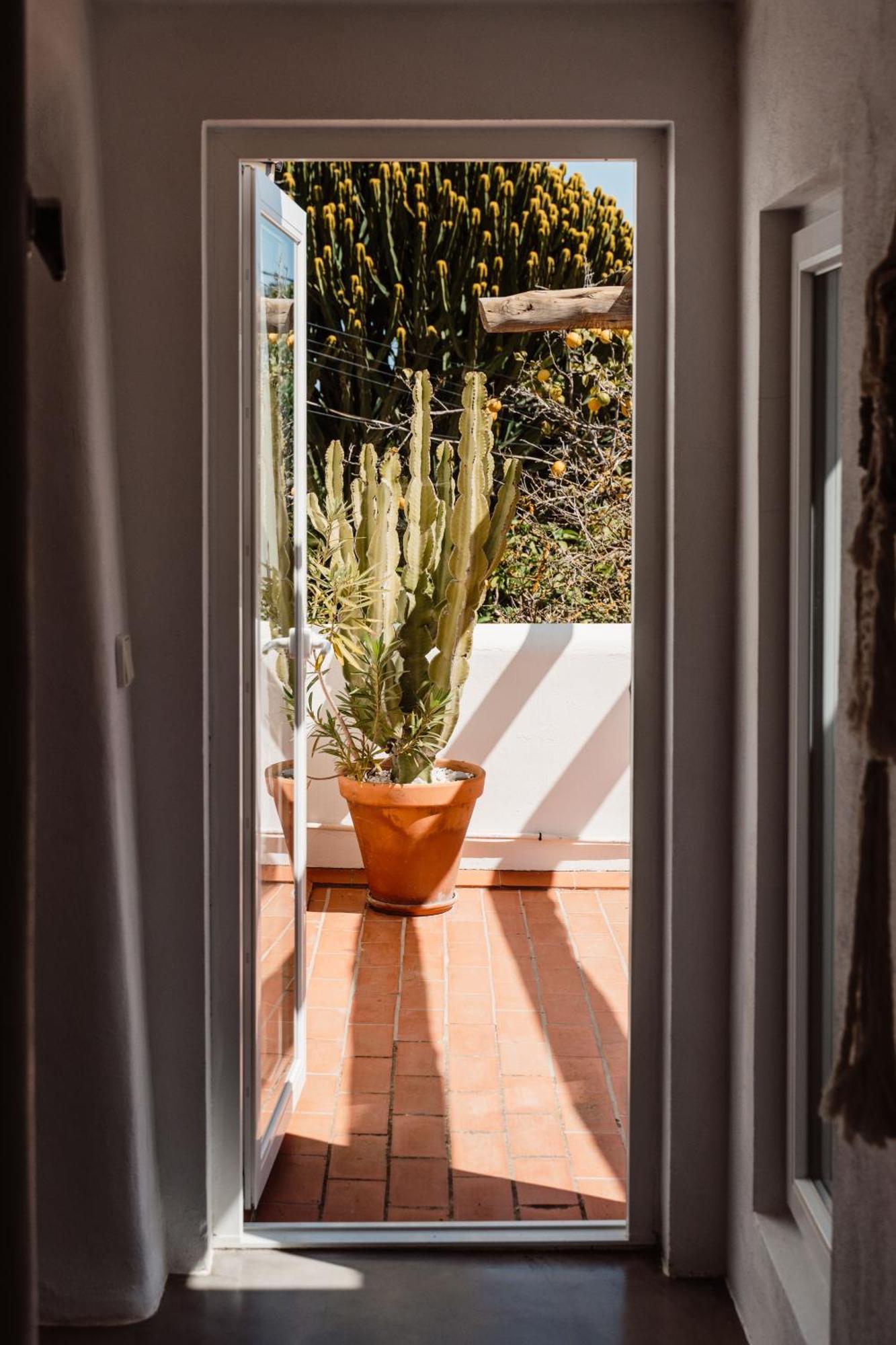 סן ז'ואן דה לבריג'ה Valley Club Ibiza - Boutique Agroturismo חדר תמונה